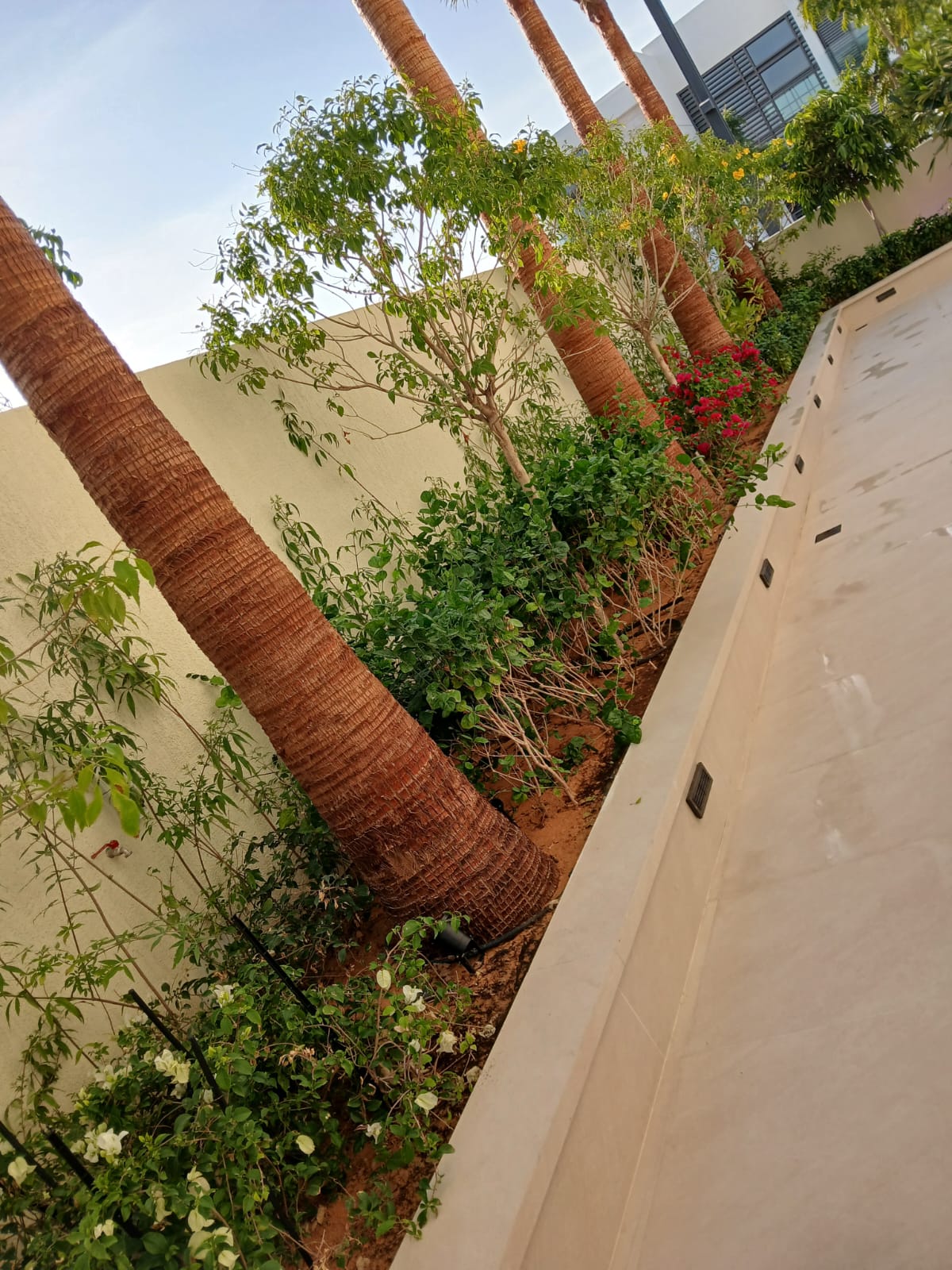 VILLA 146 image 31
